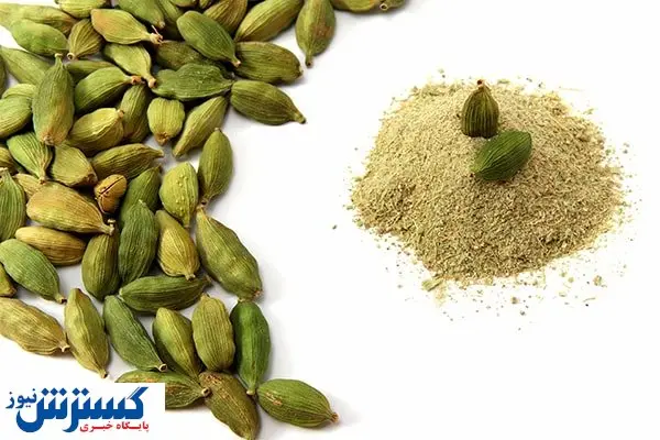 قیمت هل باورنکردنی است / ۳۱ میلیون ناقابل برای ۳۰ سی سی اسانس!