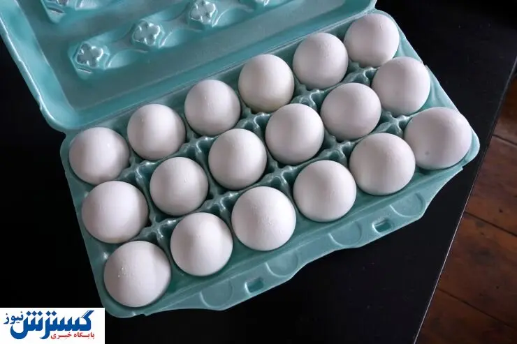 تخم مرغ ایرانی سر از روسیه درآورد | قیمت جدید تخم مرغ در بازار