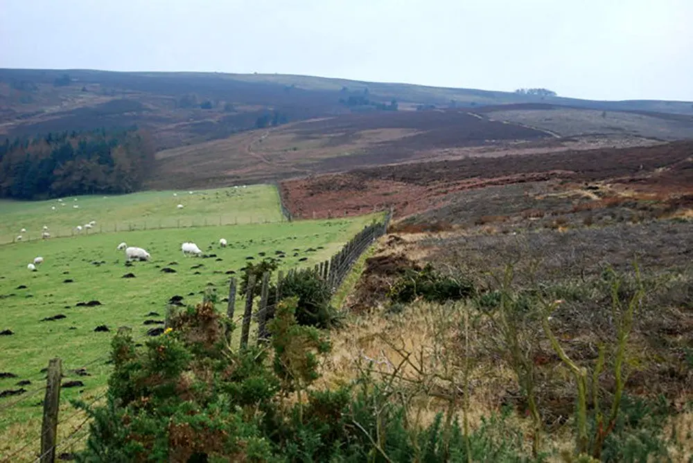 سرمایهگذاری با خرید زمین در باغ شهر یوسفی