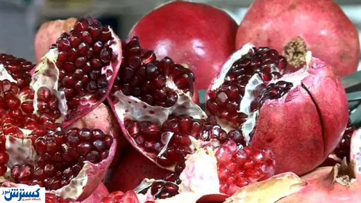خبر فوری درباره انار شب یلدا | بازار کمبود میوه دارد؟