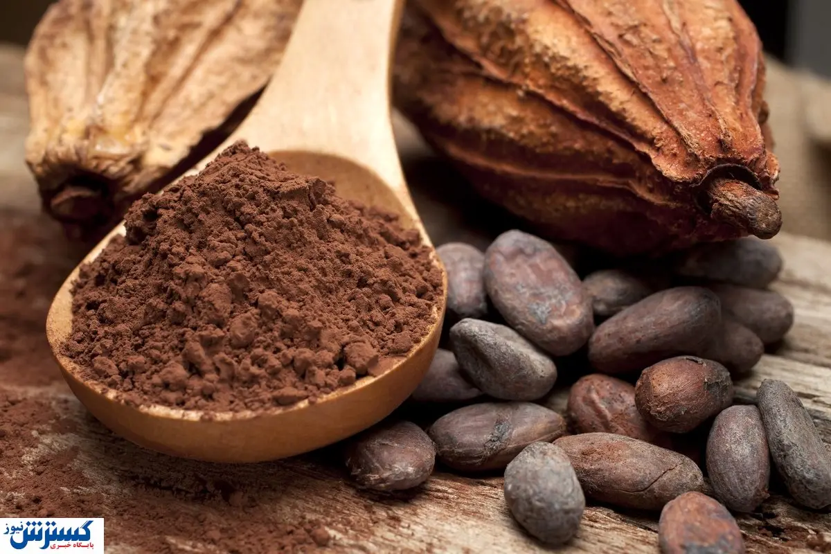 سرقتی عظیم : ۸۰ تن پودر کاکائو در کشور ناپدید شد !