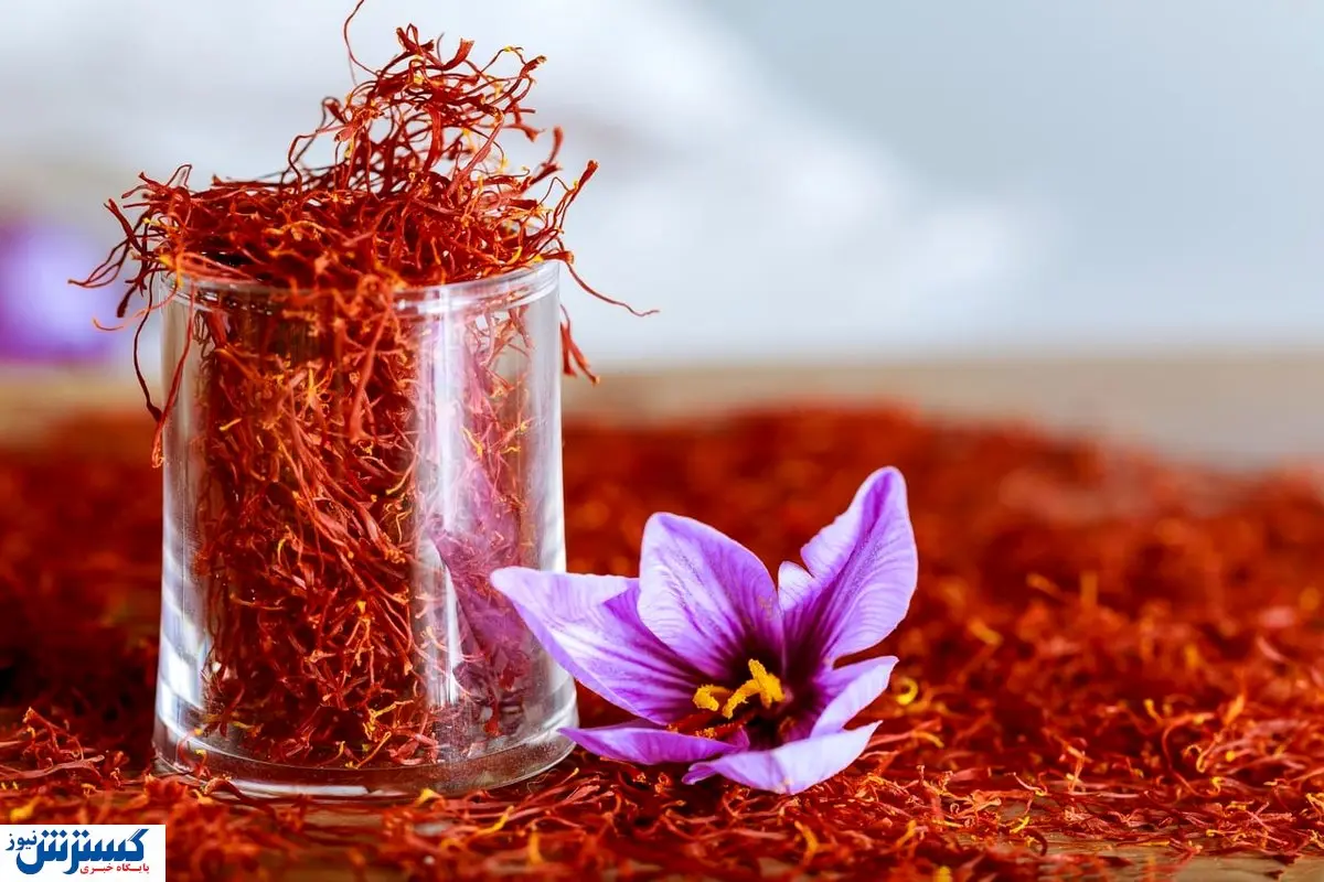 حباب قیمت طلای سرخ رسماً ترکید