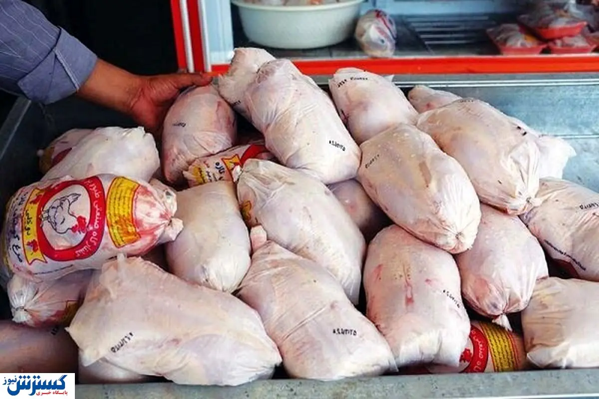 مرغ هم اعیان خور شد !