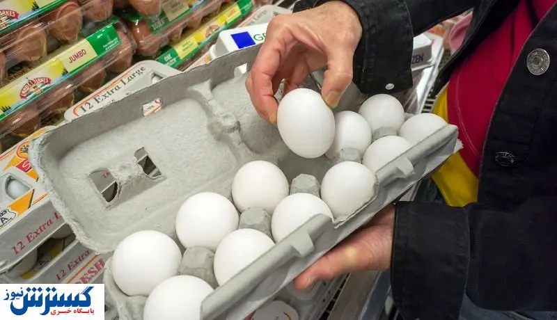 فاجعه در کمین امنیت غذایی کشور | تخممرغ ۲۵ هزار تومانی و مرگ تولید !