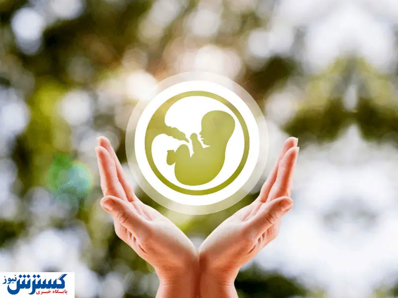 دولت گره بزرگی از کار زوجهای جوان باز کرد