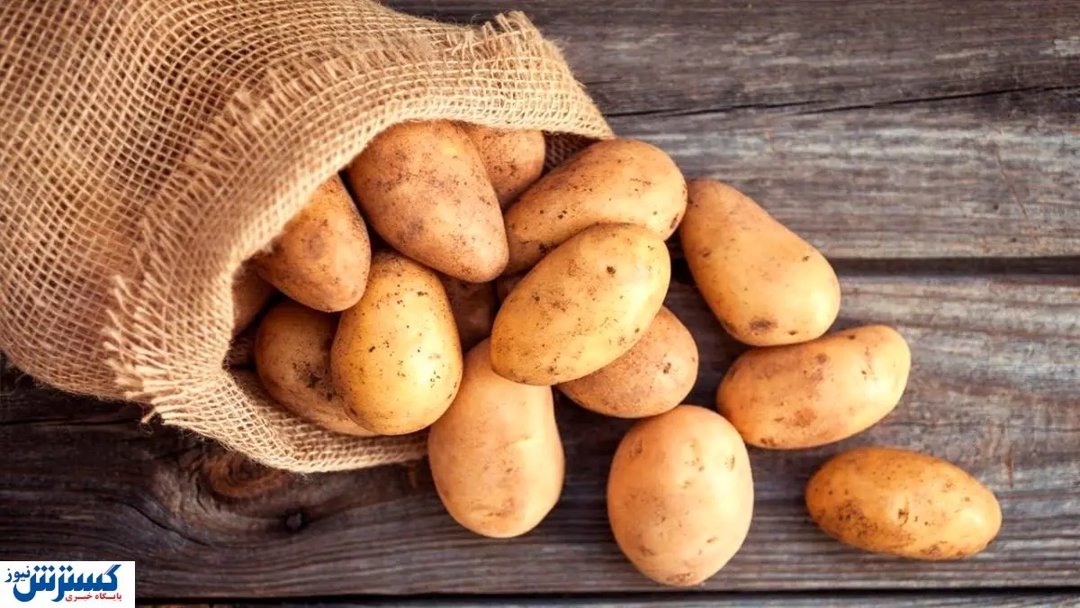 سیبزمینی به سبد خرید کارگران بازگشت