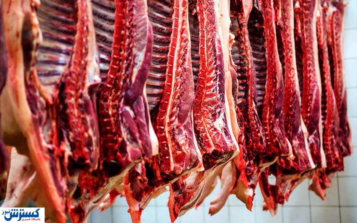 نرخ گوشت قرمز مشخص شد | سردست گوساله کیلویی چند ؟