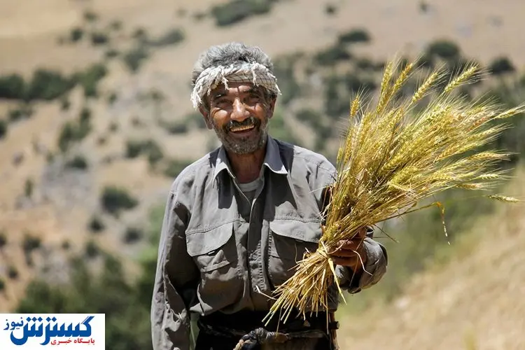 دولت به وعدهاش عمل کرد | دستور واریز صادر شد