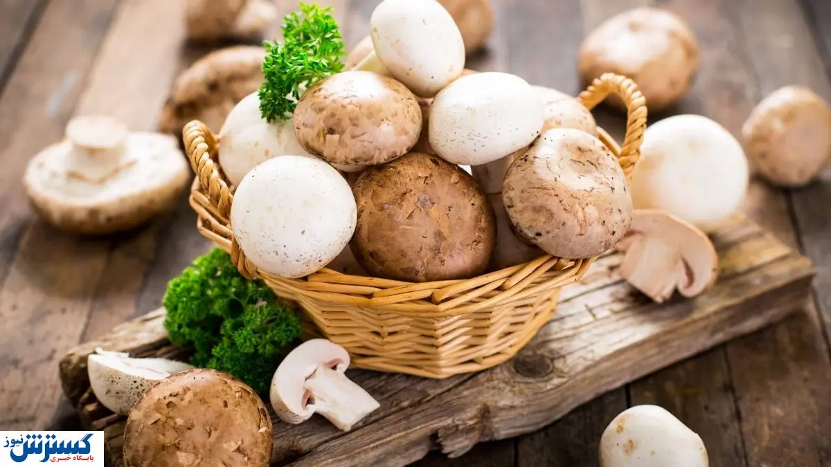 گرانی گردن خروج اتباع افتاد