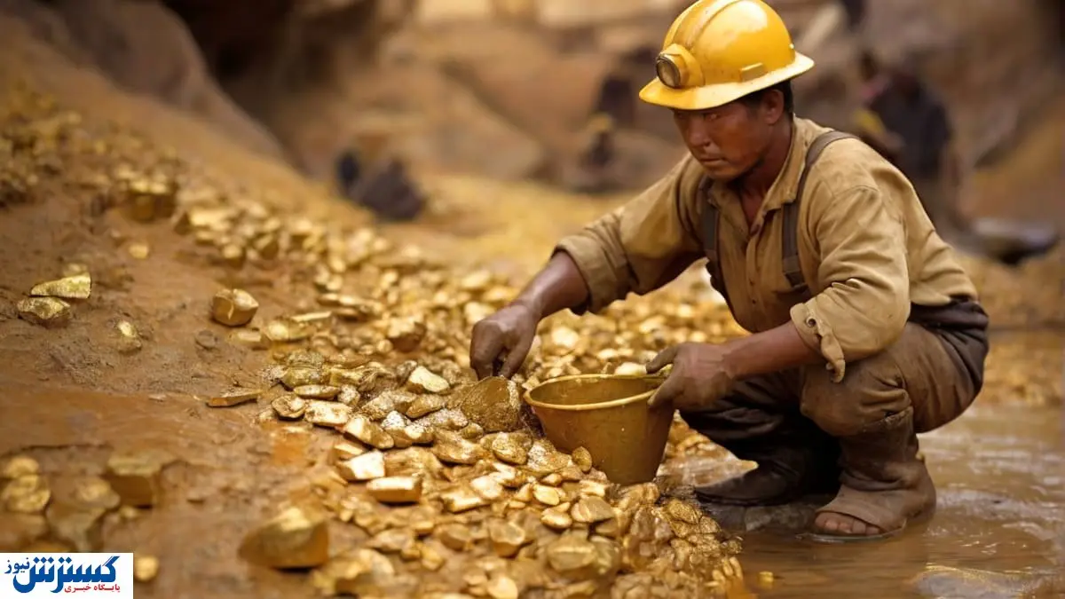 گنجینه گرانبهای کشور آماده برداشت شد | رونق در راه است