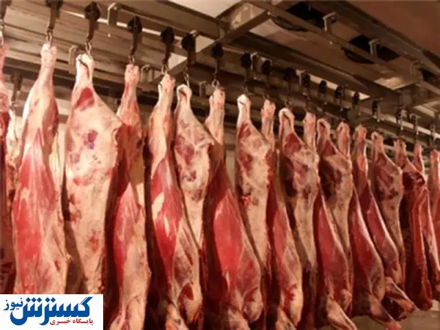 مهم |شوک بزرگ به قصابان ؛ گوشت ارزان قیمت به بازار می آید