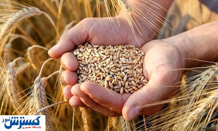 زنگ خطر در تامین امنیت غذایی کشور به صدا درآمد