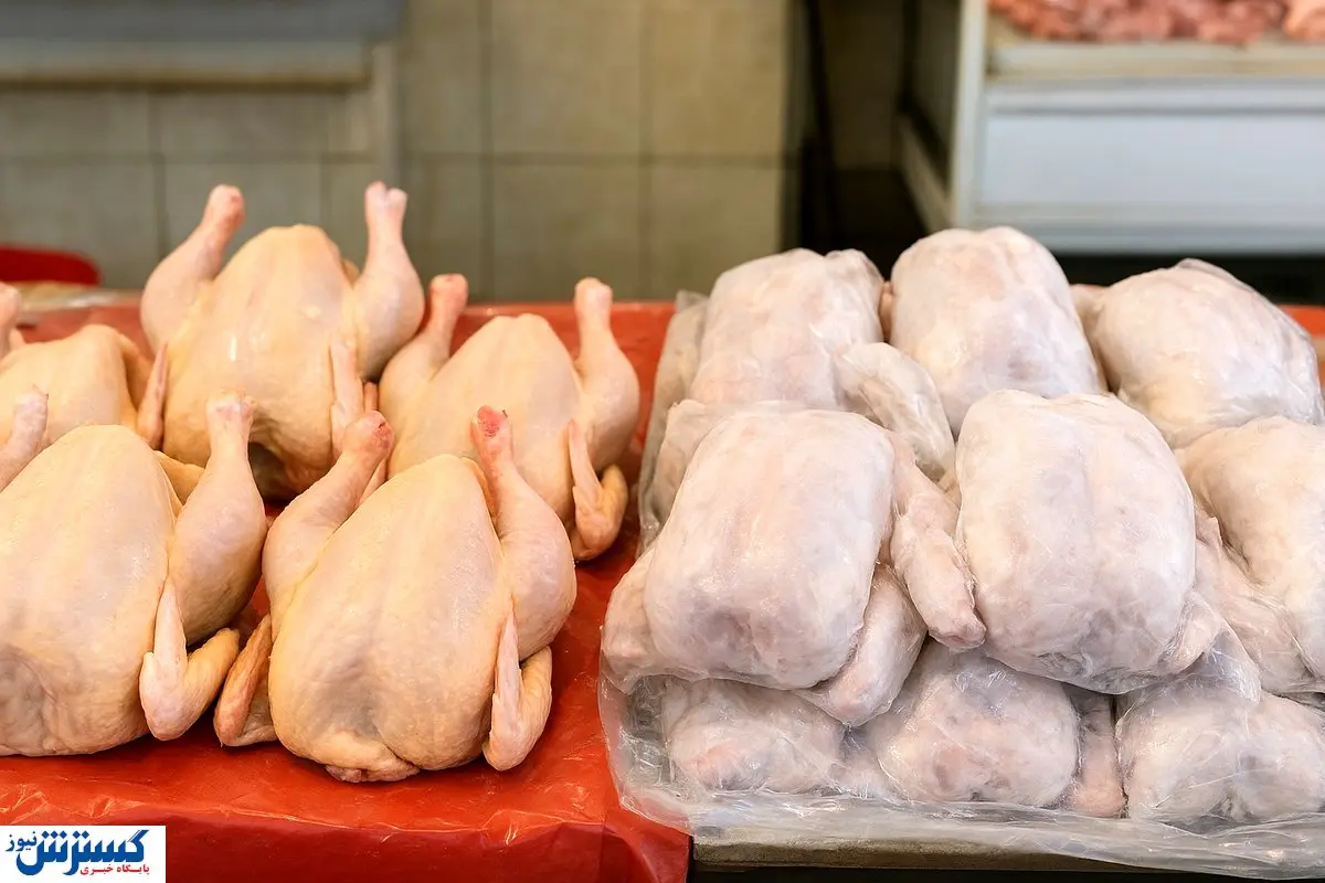 وضعیت توزیع مرغ در ماه های آینده اعلام شد