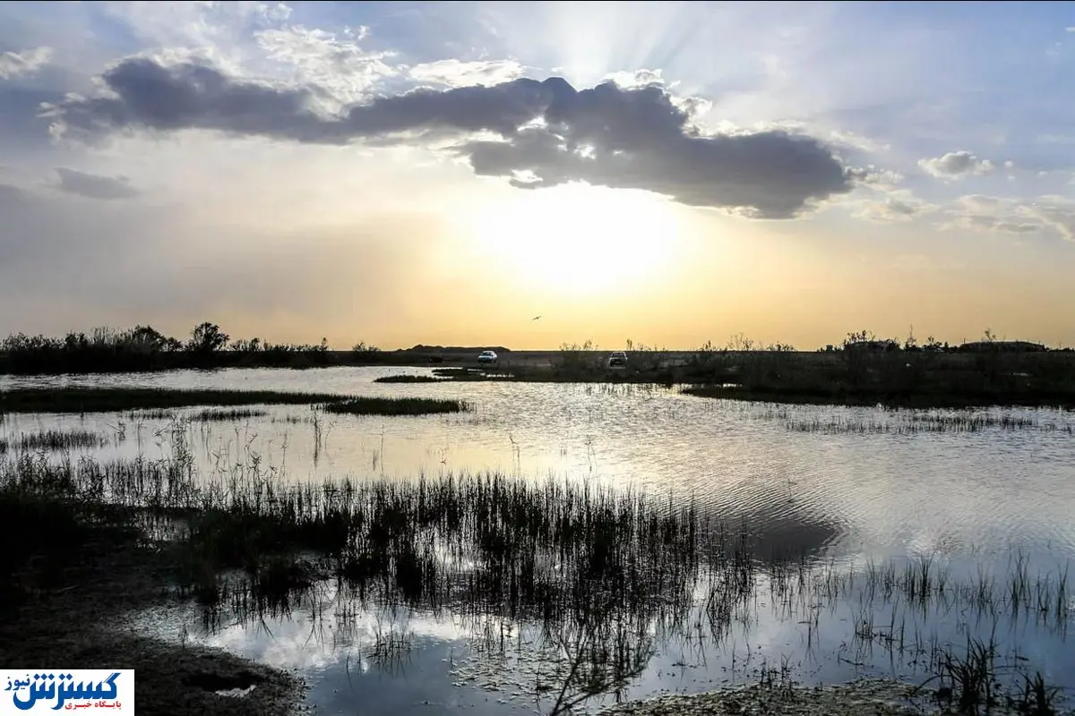هامون مُرد ؛ سم مهلک زیر جلد یارانه !