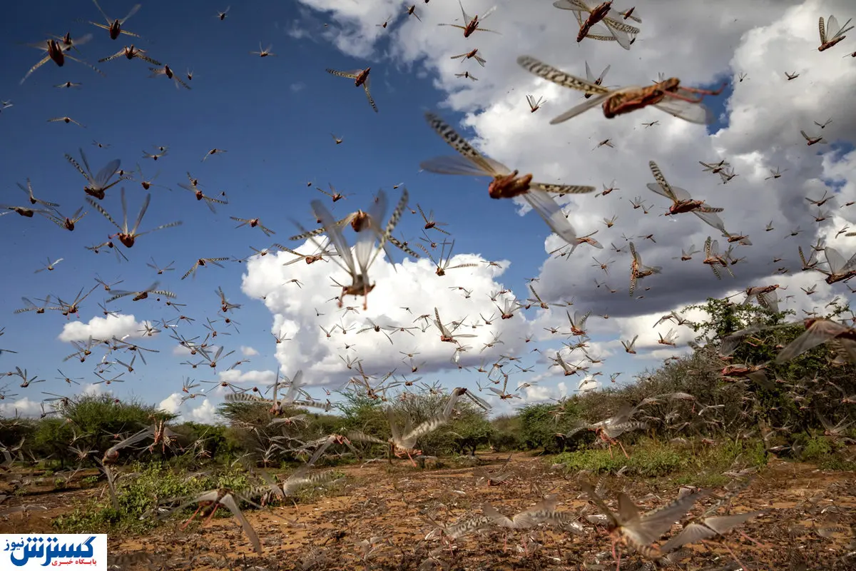 بحران جدید در راه ایران ؛ آماده باش اعلام شد