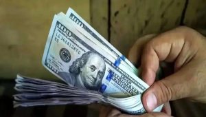 پیش‌بینی ۵ سال قبل قیمت دلار دوباره خبرساز شد / اسکناس آمریکایی به این رقم می‌رسد؟